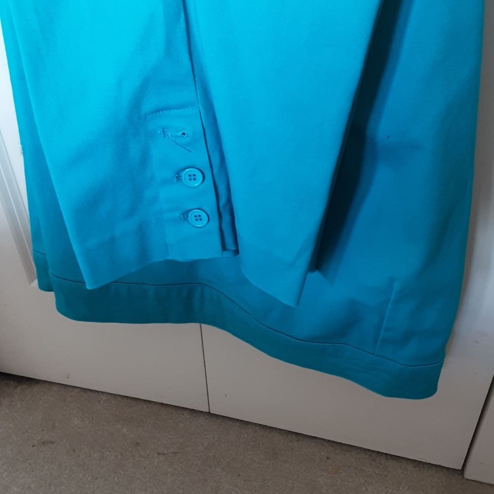 Capris - Picture 2 of 3